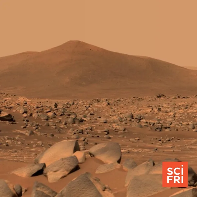 What Should Astronauts Do First When They Reach Mars?