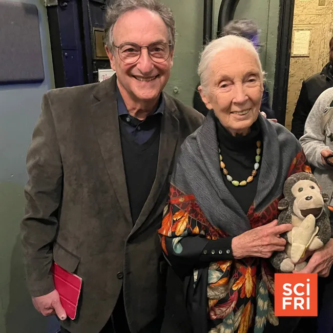 Remembering Primatologist Jane Goodall