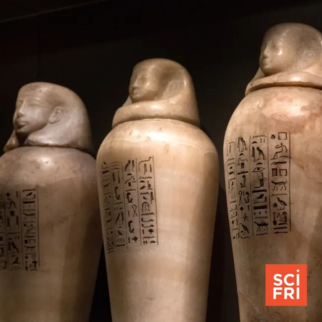 Who Wants To Smell An Ancient Embalmed Mummy?