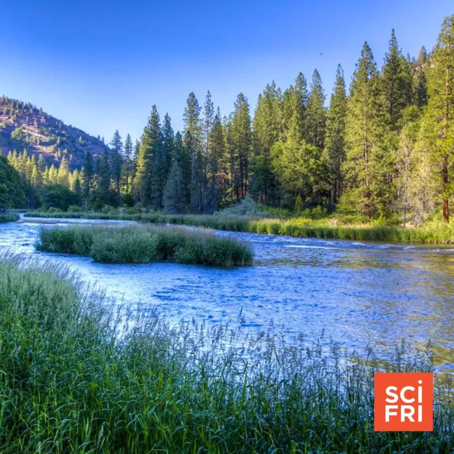 The Story Behind The Largest Dam Removal In U.S. History