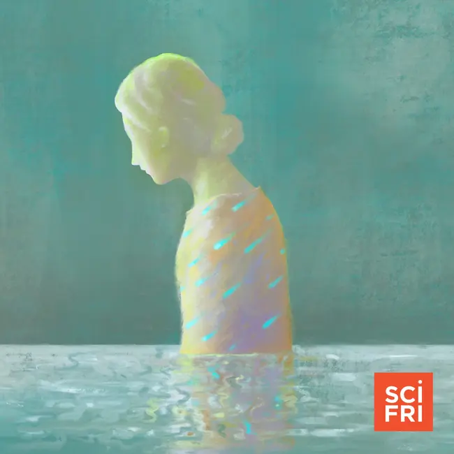 Hot flashes and hormone therapy: the science of perimenopause