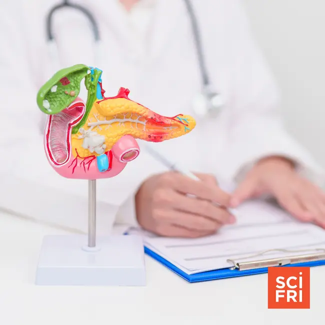 Promising new treatments for pancreatic cancer and ALS