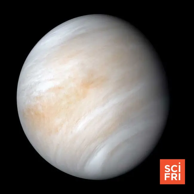 Looking for life in the clouds of Venus