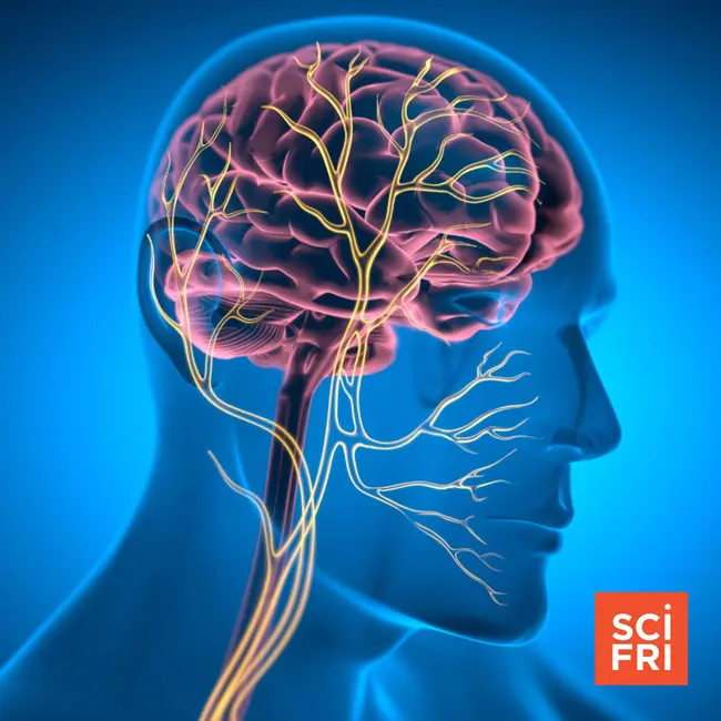 Is there science behind the ‘nervous system reset’?