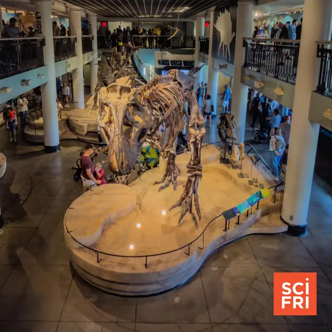 Are natural history museums going extinct?