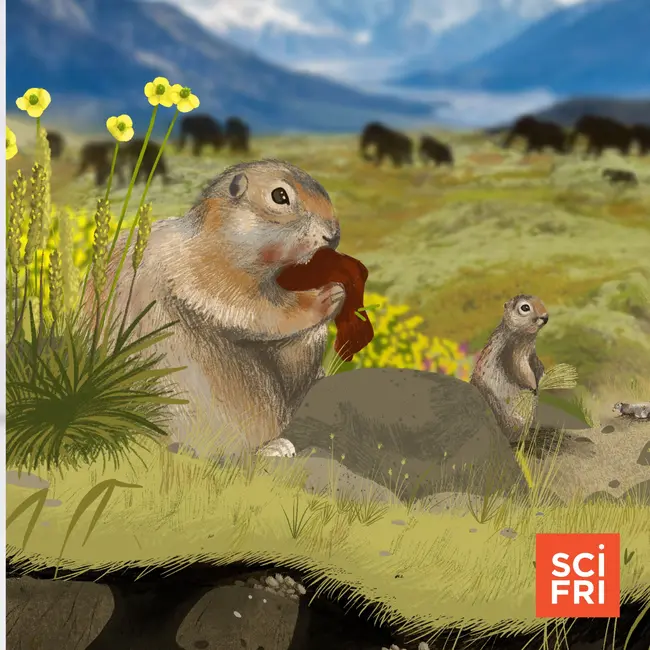 Squirrel poop drops Ice Age clues + The neuroscience of laughter