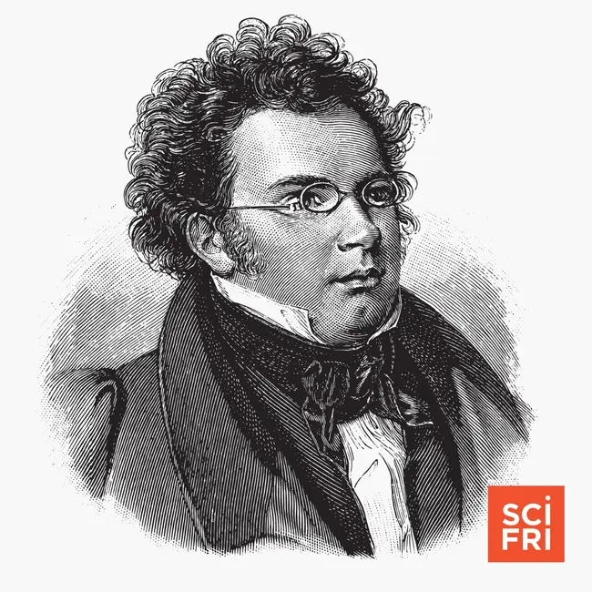 Wait, is my washing machine playing Schubert?
