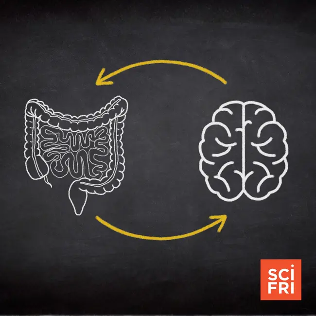 How does the gut-brain connection work?