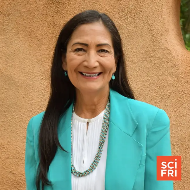 Deb Haaland is a politician, and proud of it