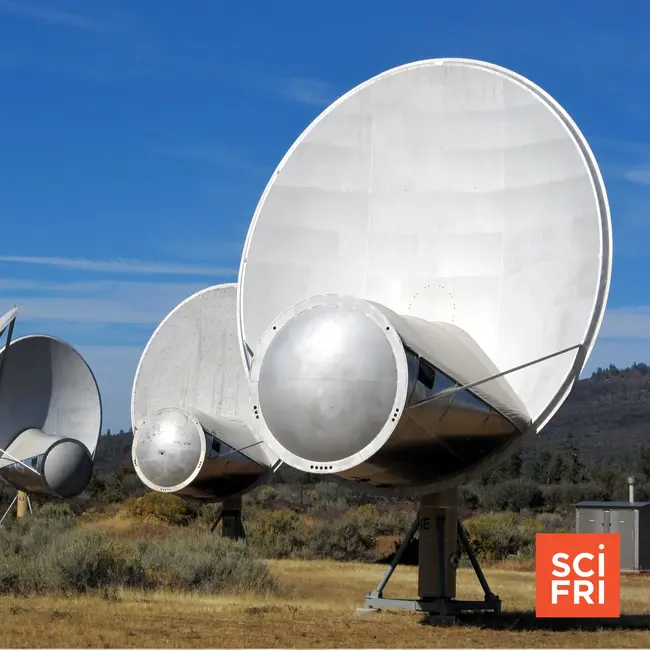 What will our reaction be when we discover aliens?