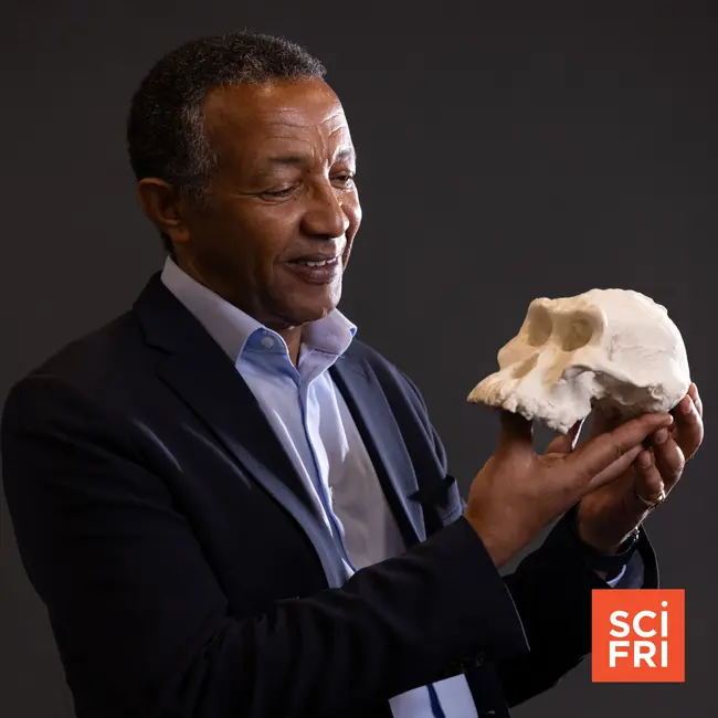 Telling the tale of human origins, one fossil tooth at a time
