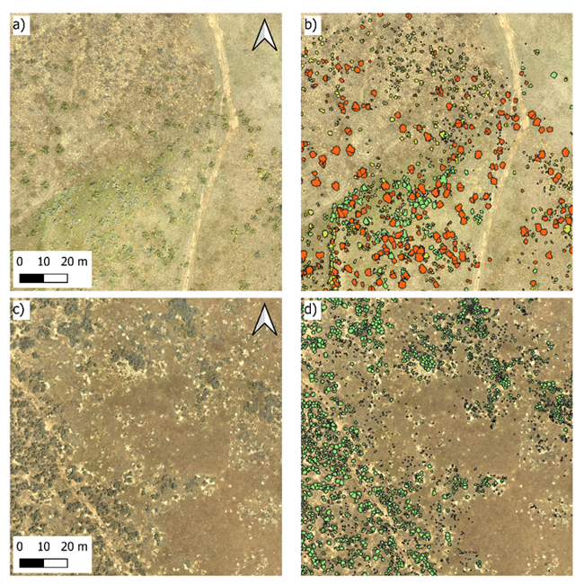 Ep. 544 - Helping Move the Needle on Sagebrush Restoration