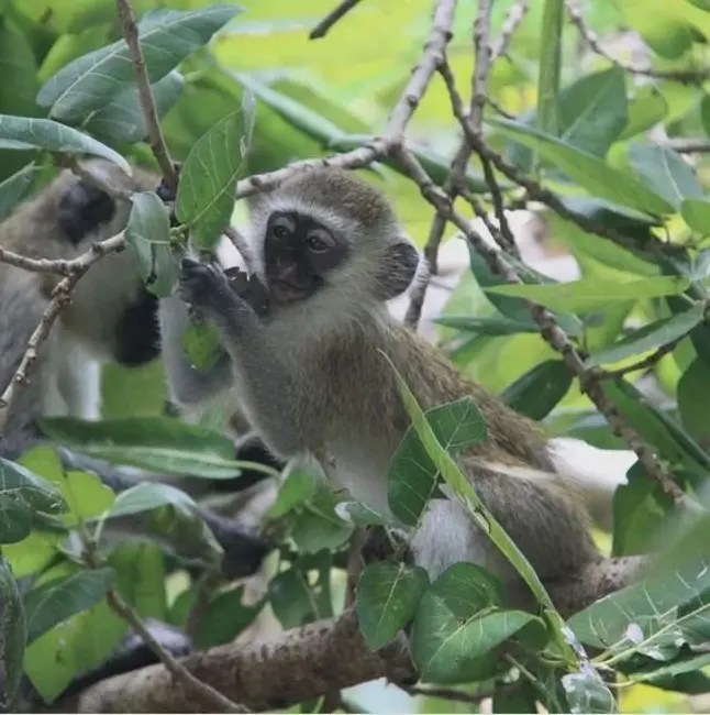 Ep. 537 - From Seeds to Climate