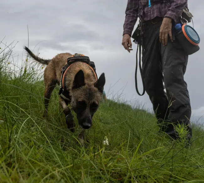 Ep. 556 - From Seeds to Plants: A Plant Conservation Pipeline