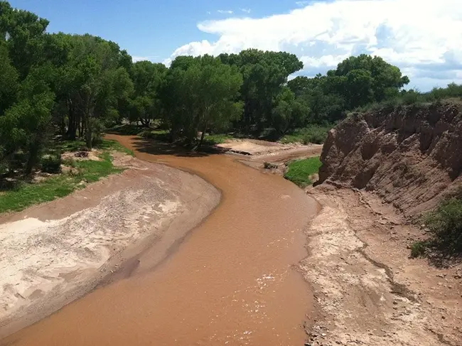 Ep. 553 - Soil Microbes & Desert Plant Restoration