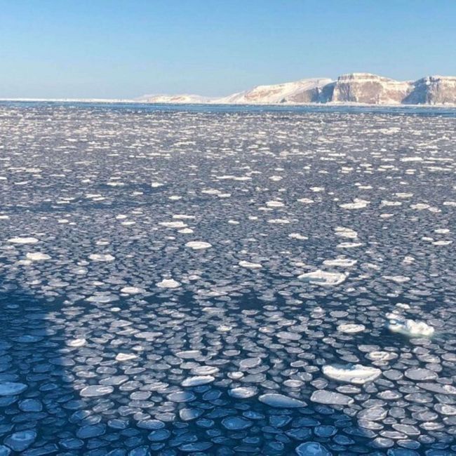 Нефтяники активизируют разведку у кромки арктических льдов