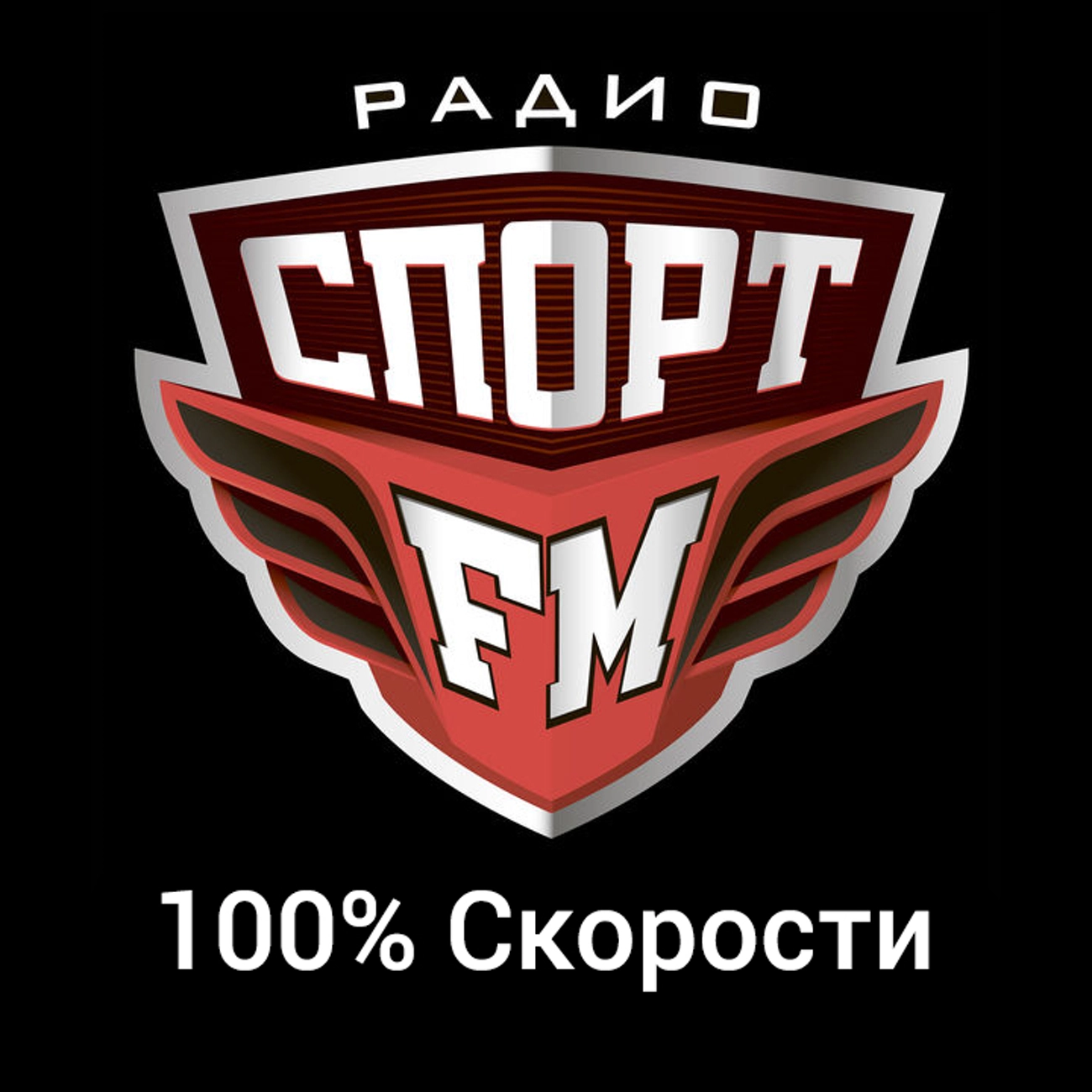 100% Скорости