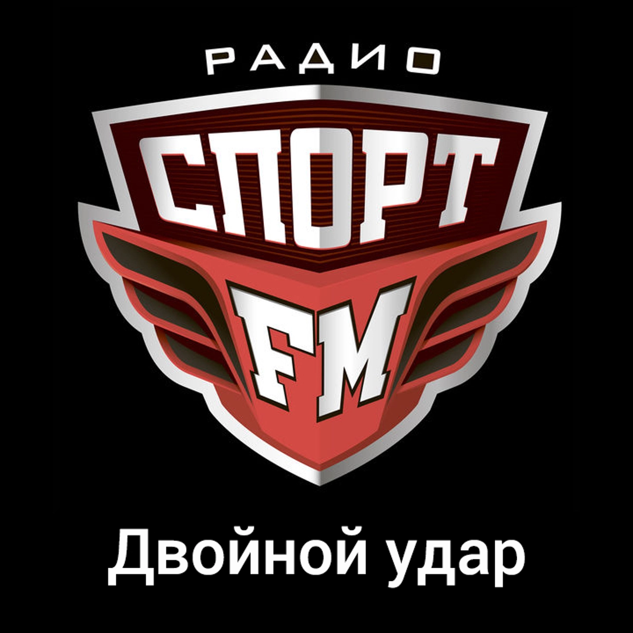 Двойной удар