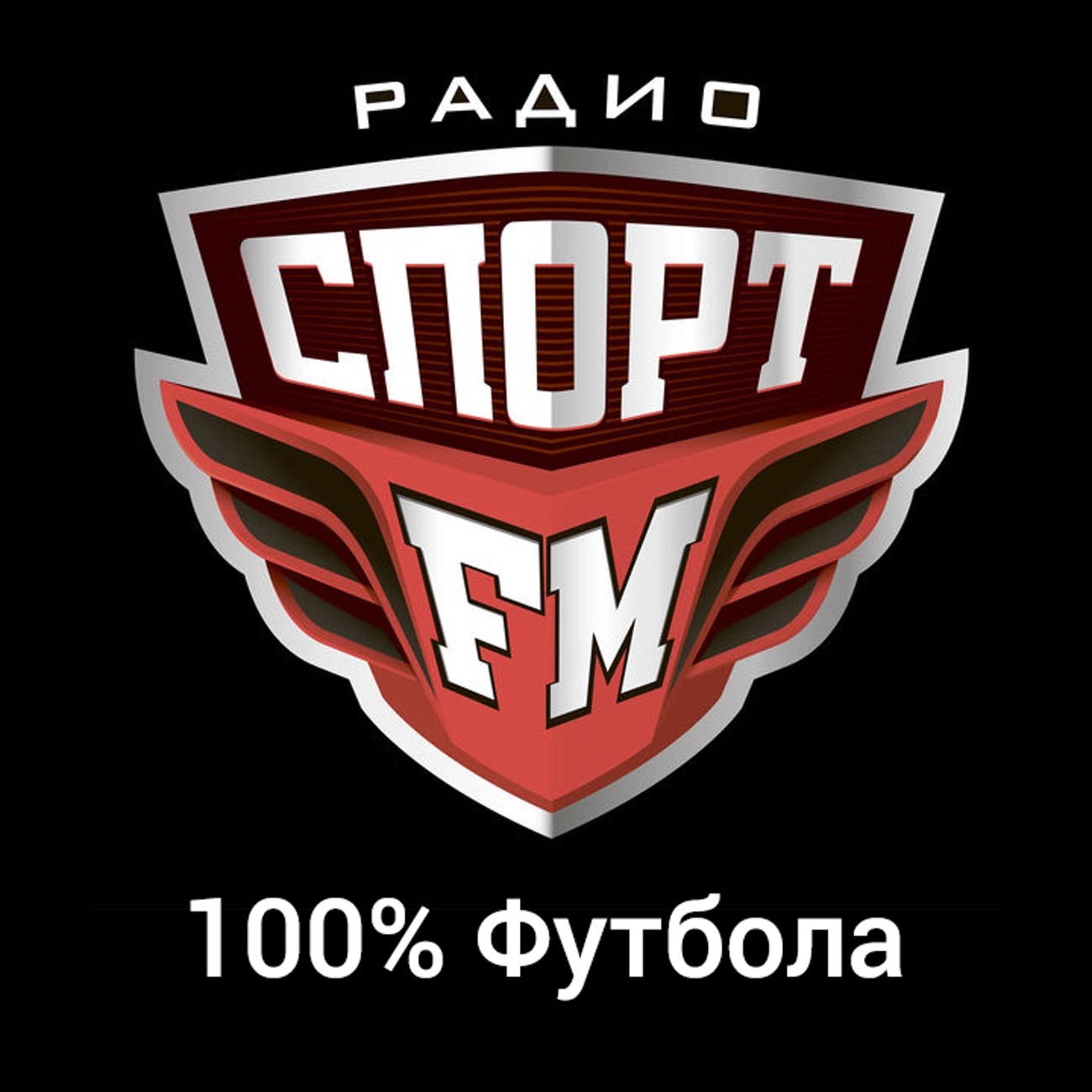 100% Футбола