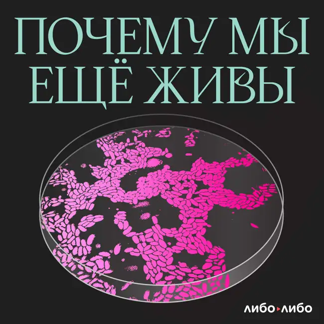 Иногда они возвращаются: почему мы не можем победить грипп