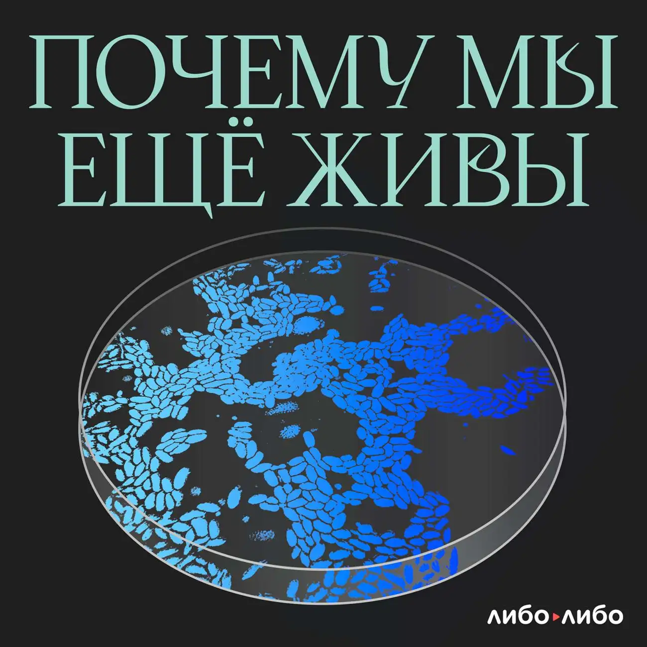 Почему мы еще живы