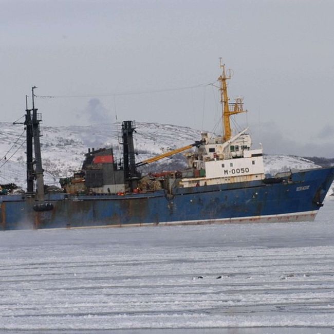 Значительная доля судоходства в Арктике в 2022 году была связана с промыслом рыбы