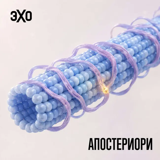 Белок, связанный с Альцгеймером, оказался важен для долговременной памяти