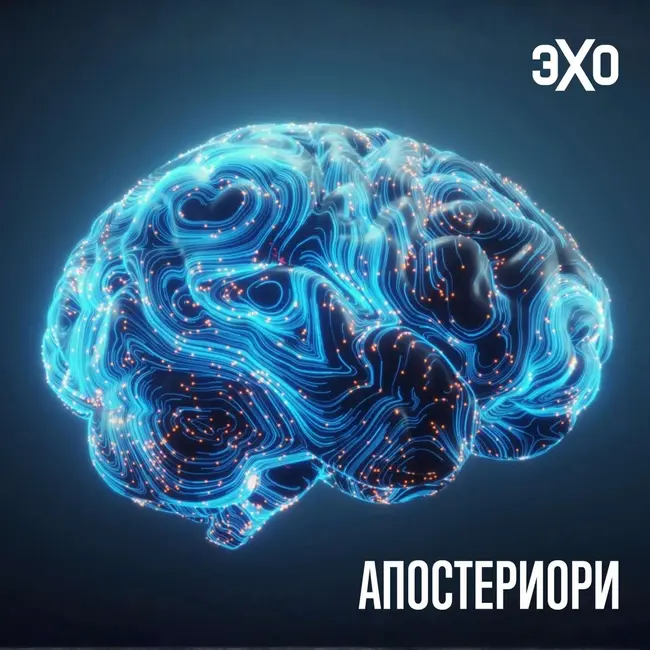 Ученые выяснили, как опыт освобождает мозг для новых задач