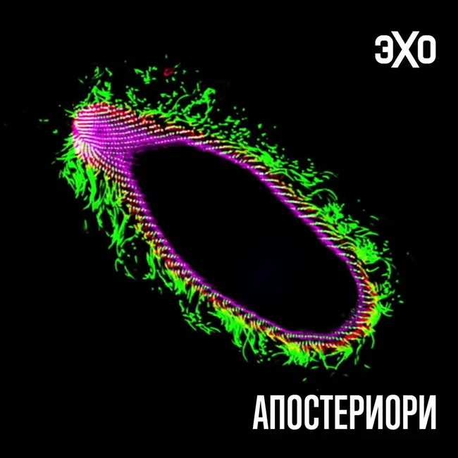 Новое открытие может помочь сократить выбросы метана от коров