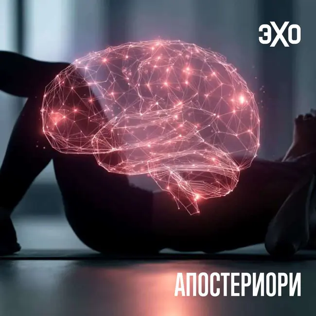 Мышцы живота могут управлять движением мозга