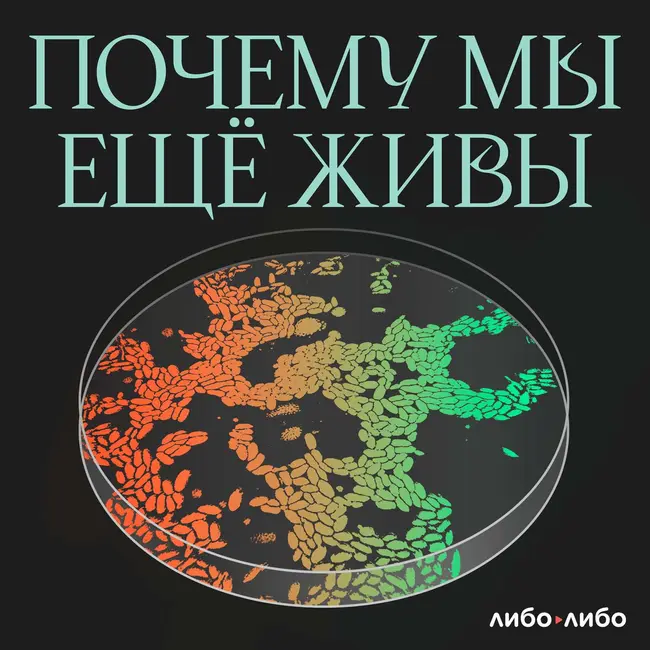 Время разбрасывать и время собирать. Как лечат камни в почках и мочевом пузыре