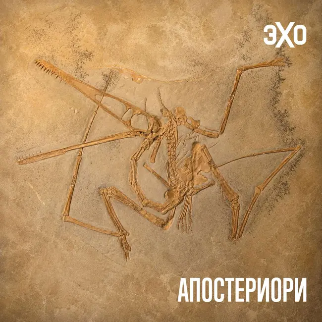Кость динозавра помогла раскрыть механизм сохранения древних биомолекул