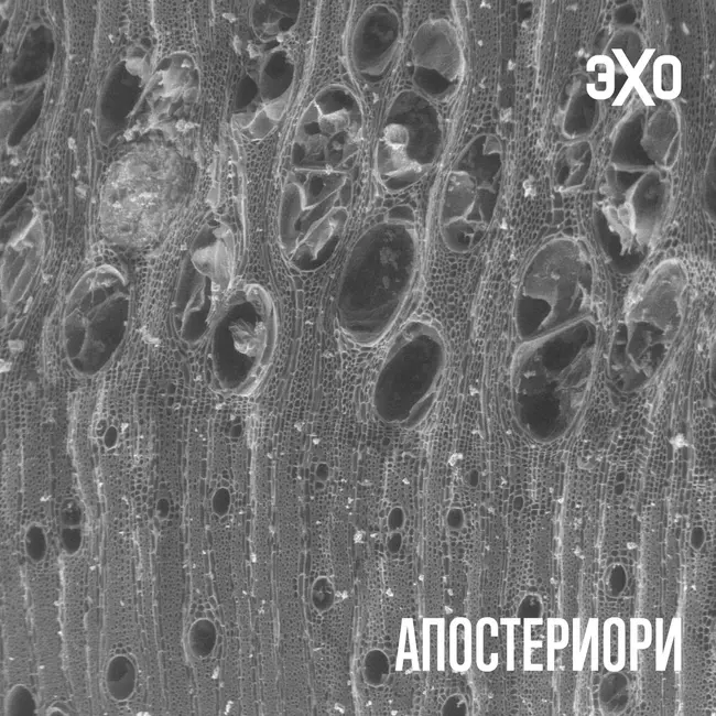 Древний уголь помог понять, как люди осваивали огонь