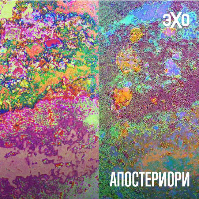 Археологи научились видеть скрытые слои почвы прямо во время раскопок