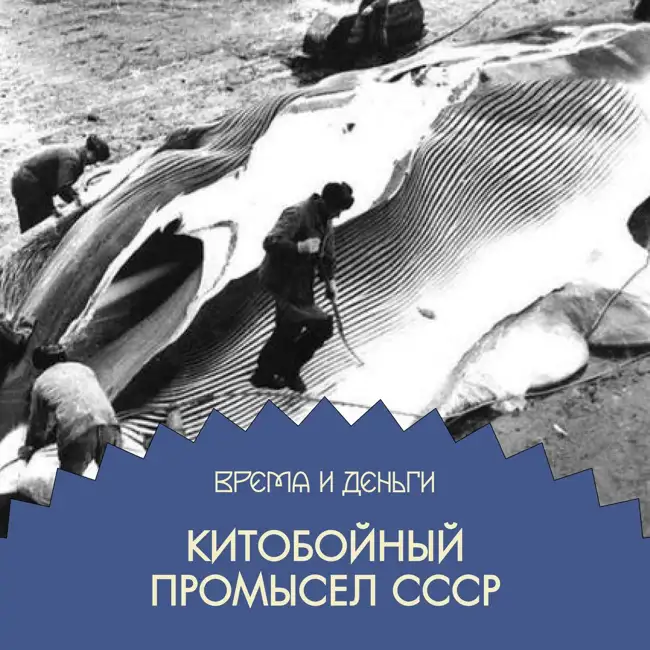 Киты. Как пролить океаны крови зря