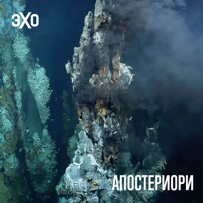 Выяснилось, что обитатели глубин океана начинают жизнь почти у поверхности