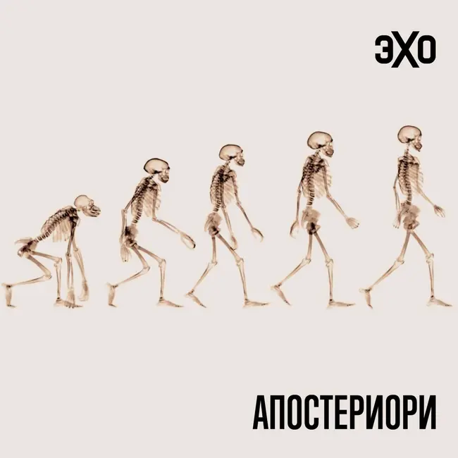 Праворукость человека может быть связана с прямохождением