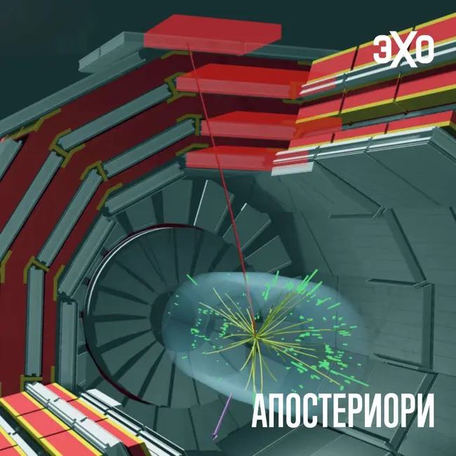 Большой адронный коллайдер не подтвердил загадочную аномалию