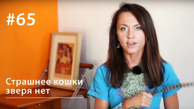 Страшнее кошки зверя нет // Всё как у зверей #65