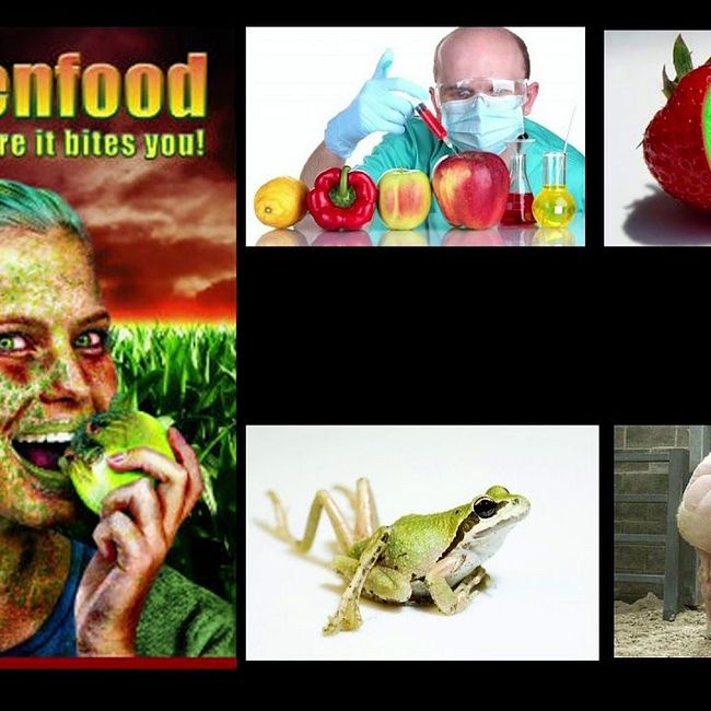 ГМО: бояться нельзя питаться! Запятую поставите сами.