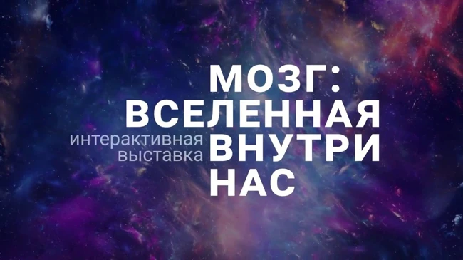 Мозг вселенная внутри нас - Татьяна Черниговская