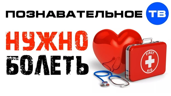 Почему вы ОБЯЗАНЫ болеть? (Познавательное ТВ, Роман Василишин)