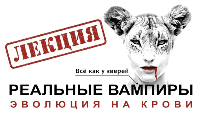 Кровь, еда, эволюция