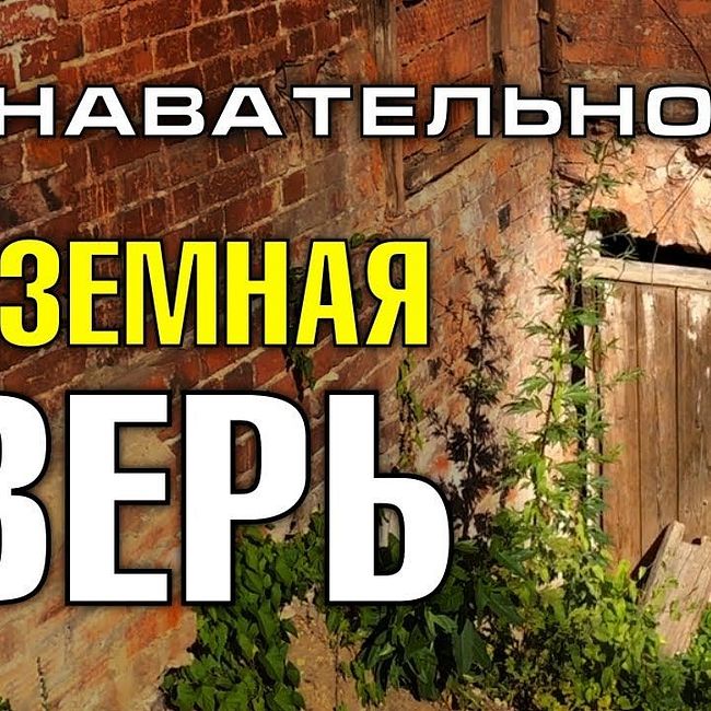 Подземная дверь дома в Сергиевом Посаде (Познавательное ТВ, Артём Войтенков)
