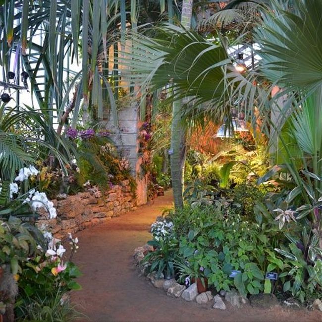Чем можно заняться в Ботаническом саду МГУ