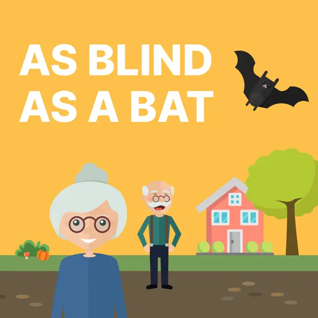 AS BLIND AS A BAT