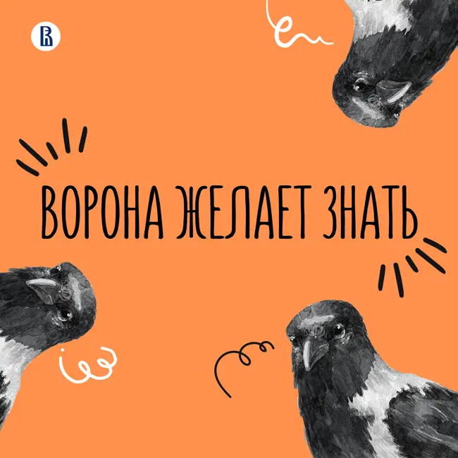 «Поехали!»: отвечаем на популярные вопросы о космосе