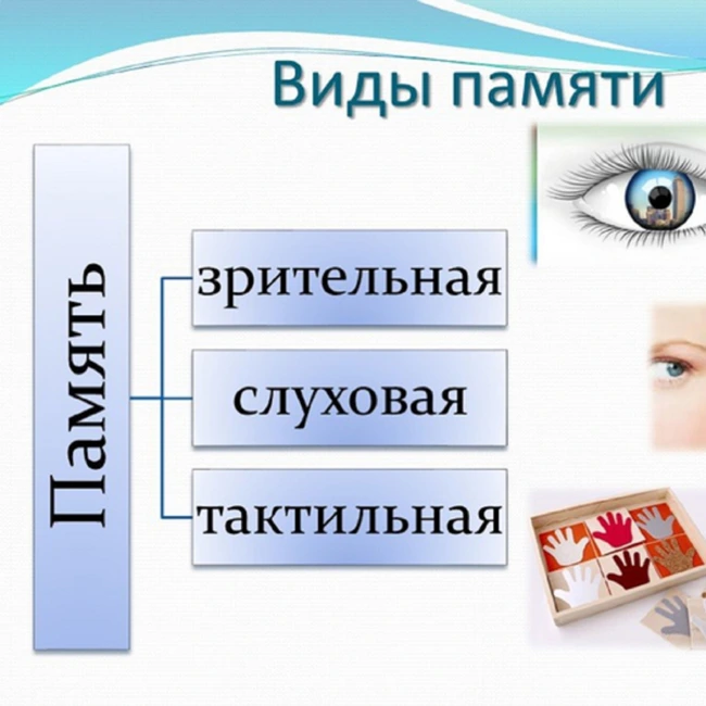 Как стать миллионером. Урок 2. Читаем и развиваем свою память.