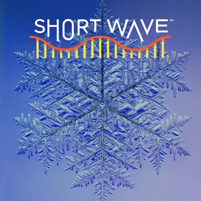 The Dubious World's Largest Snowflake Record