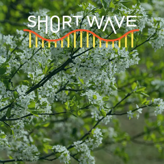 Nature Quest: Are Flowers Blooming Early?